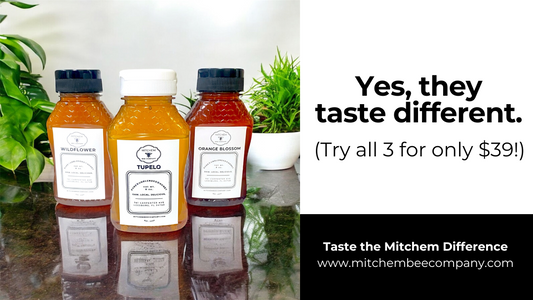 A Guide to Mitchem Bee Raw Honey Varietals