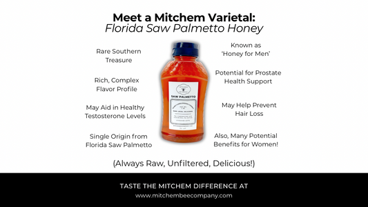 Meet a Mitchem Varietal: Florida Saw Palmetto Honey