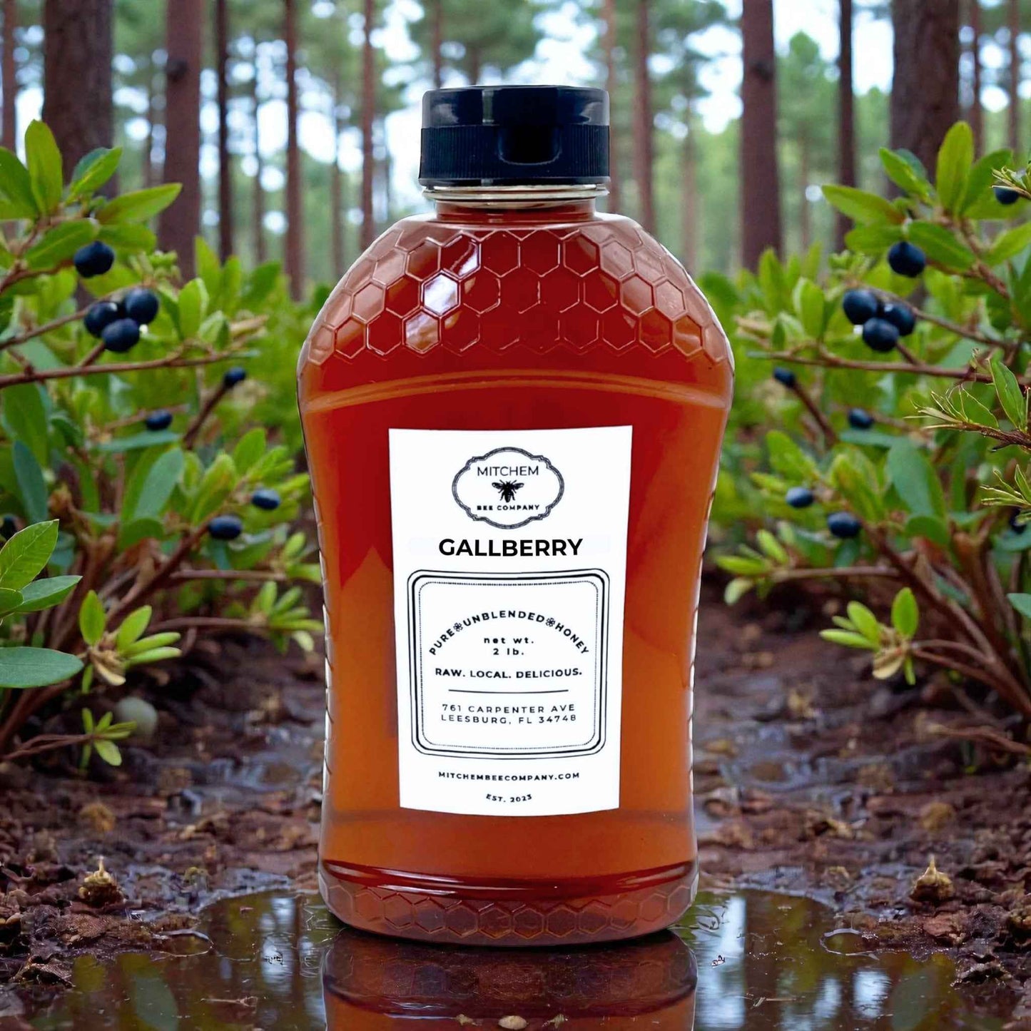 Raw, Unfiltered Florida Gallberry Honey