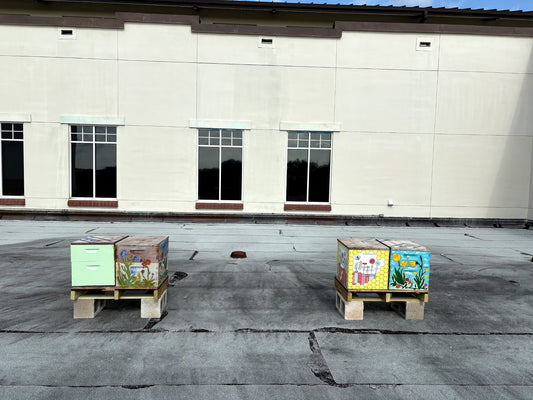 Leesburg Library Bee Hives On Roof by Mitchem Bee Company and Bee Fussy Apiary
