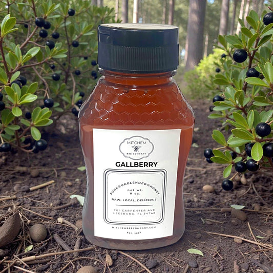 Raw, Unfiltered Florida Gallberry Honey