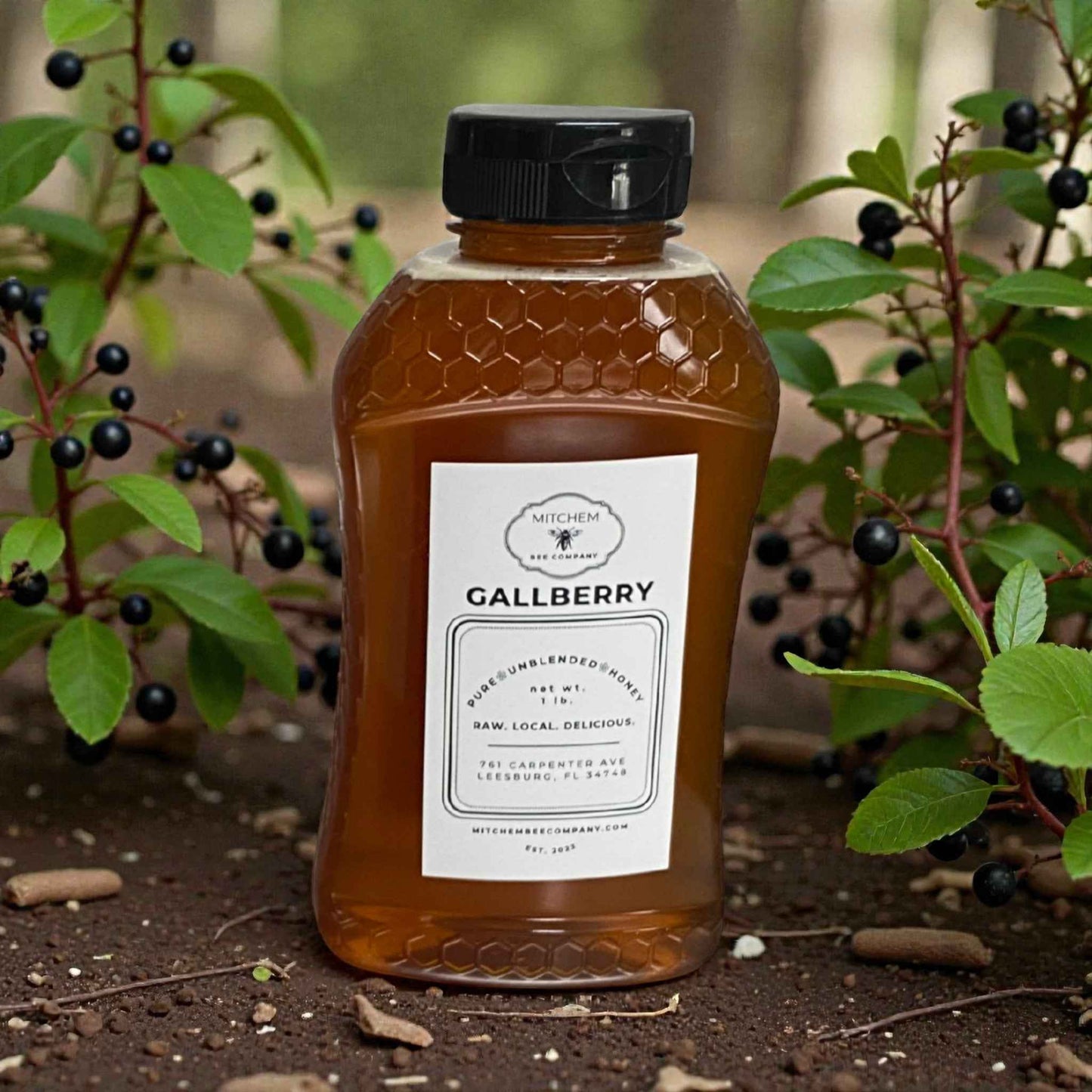 Raw, Unfiltered Florida Gallberry Honey