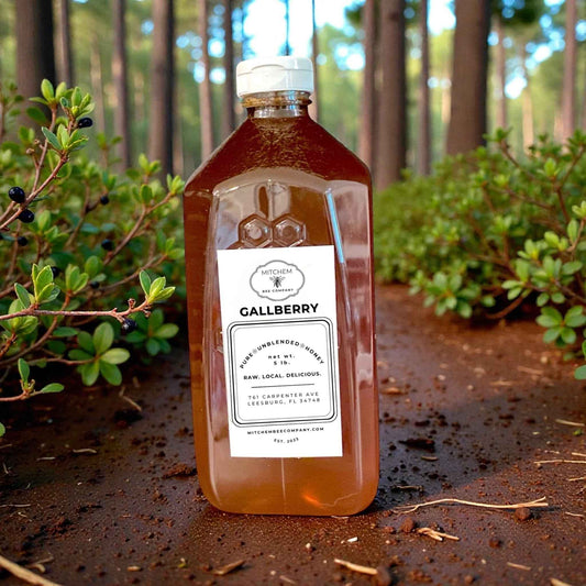 Raw, Unfiltered Florida Gallberry Honey