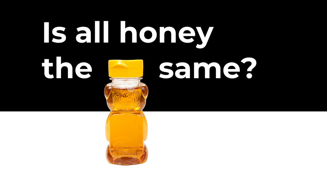 Mitchem Bee Company Best Raw Honey